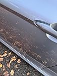 Review Image by Volodymyr
