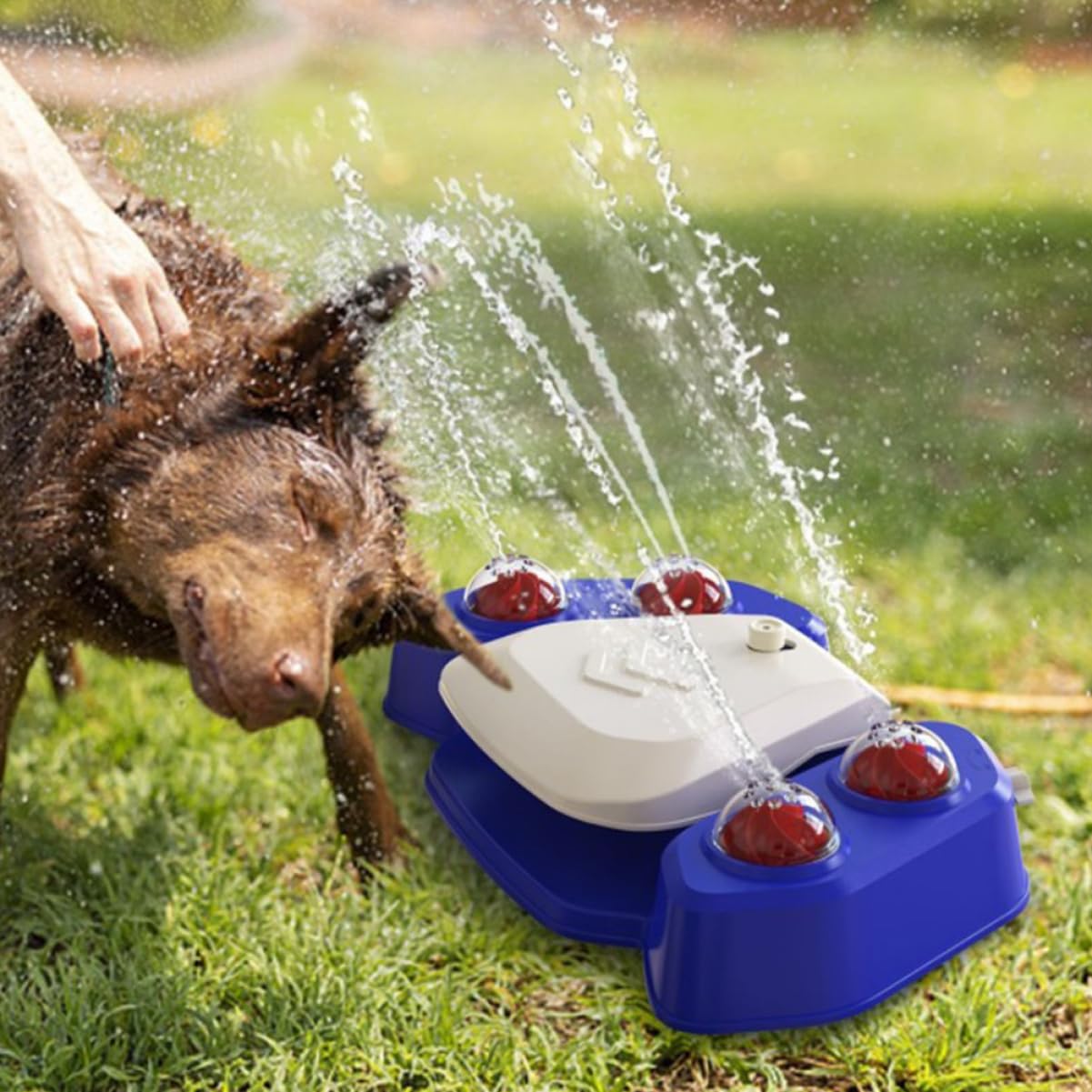 minkissy Bebedero Perro Automático Rociador De Agua Juguete De para Mascotas