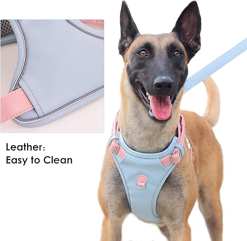 Miniatura 2 de Arnés de cuero para perros medianos y grandes, sin tirones, chaleco ajustable con asa y dos puntos de fijación de correa, fácil de limpiar, azul, L