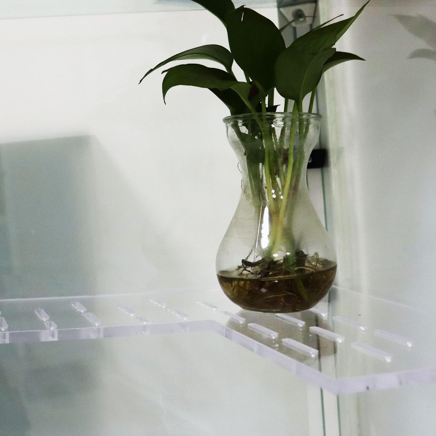 PIAOLGYI Replacement Shelf Set for IKEA Milsbo Glass-Door Cabinet, Horseshoe Shelf and Triangular Acrylic Corner Shelves Extra Shelves Accessories Compatible with Tall IKEA Milsbo Glass Cabinet(8mm)