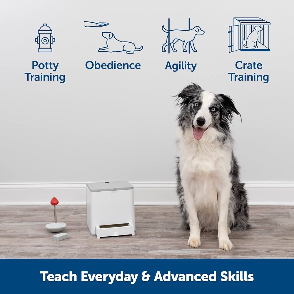 Amazon.com: PetSafe Teach & Treat Remote Reward Trainer