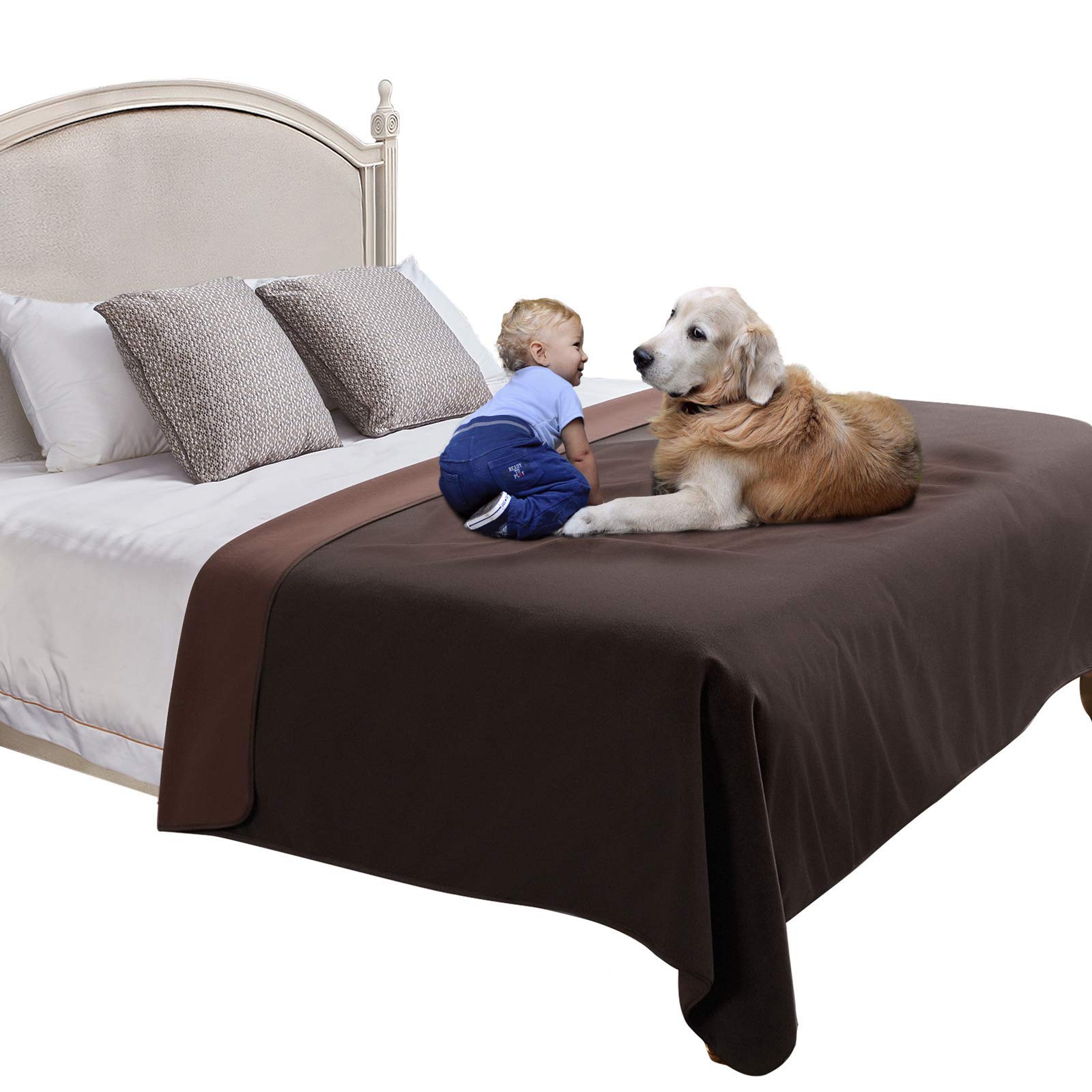 Can Puppies Wet The Bed In Their Sleep