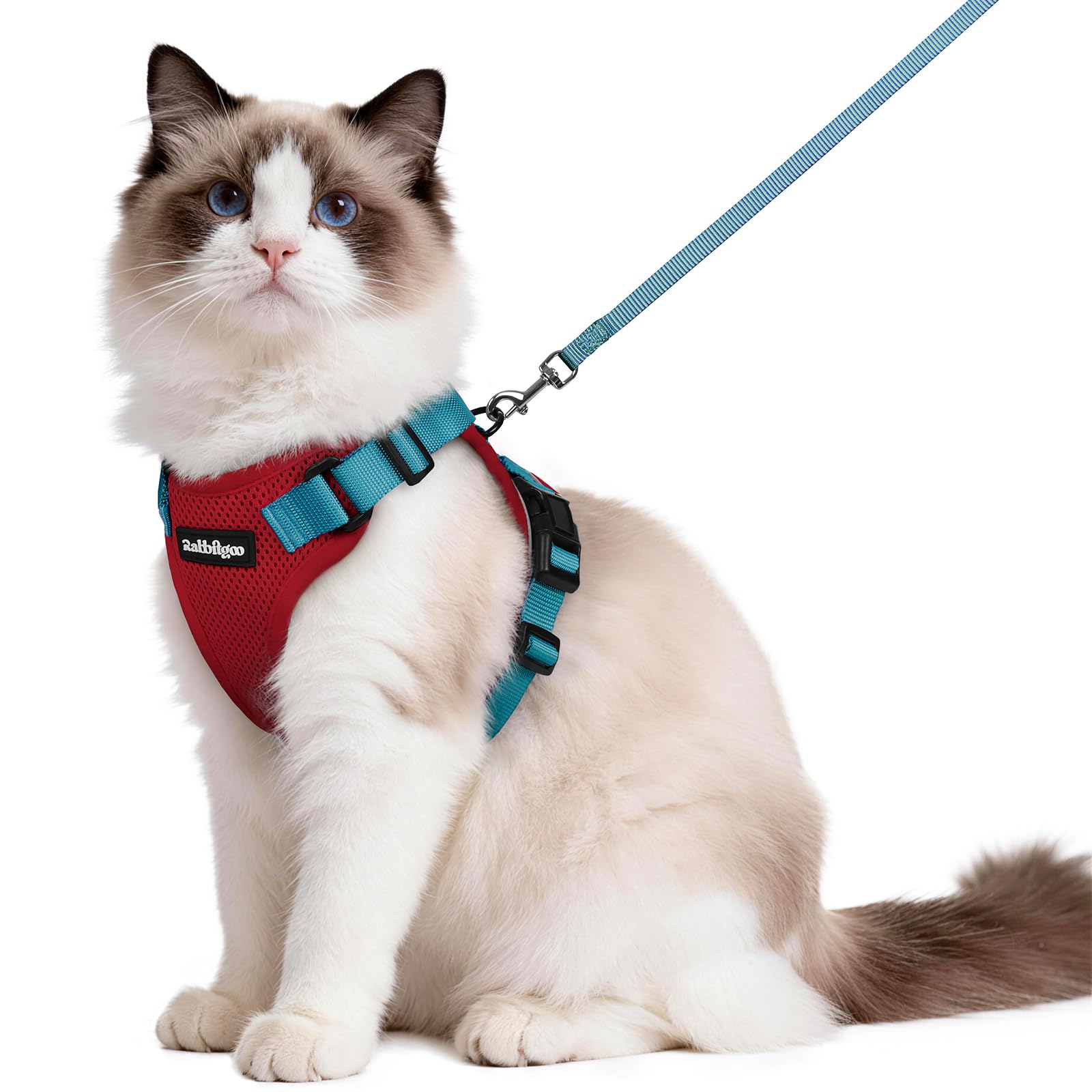 rabbitgoo Katzengeschirr mit Leine Softgeschirr für Katze Brustgeschirr Cat Harness Katzengarnitur ausbruchsicher verstellbar Katzenweste Rot & Blaugrün M