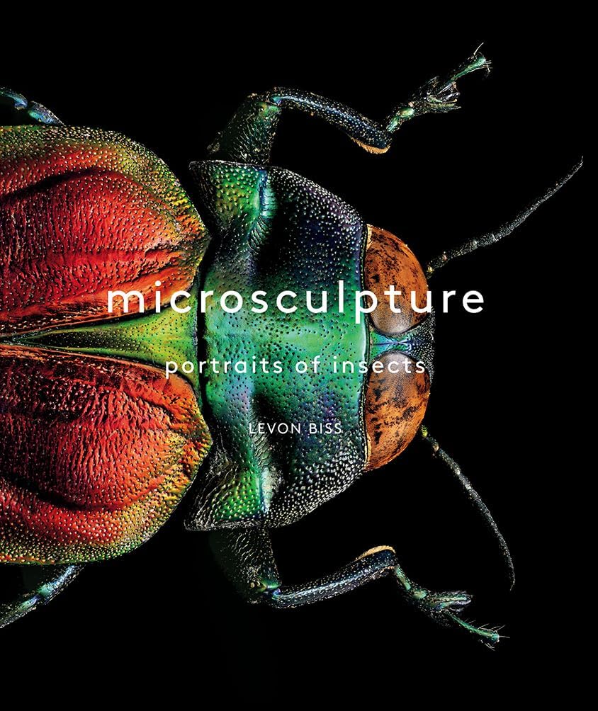 Microsculpture: Extreme macro portraits revealing insects as alien, sculptural works of natural art.