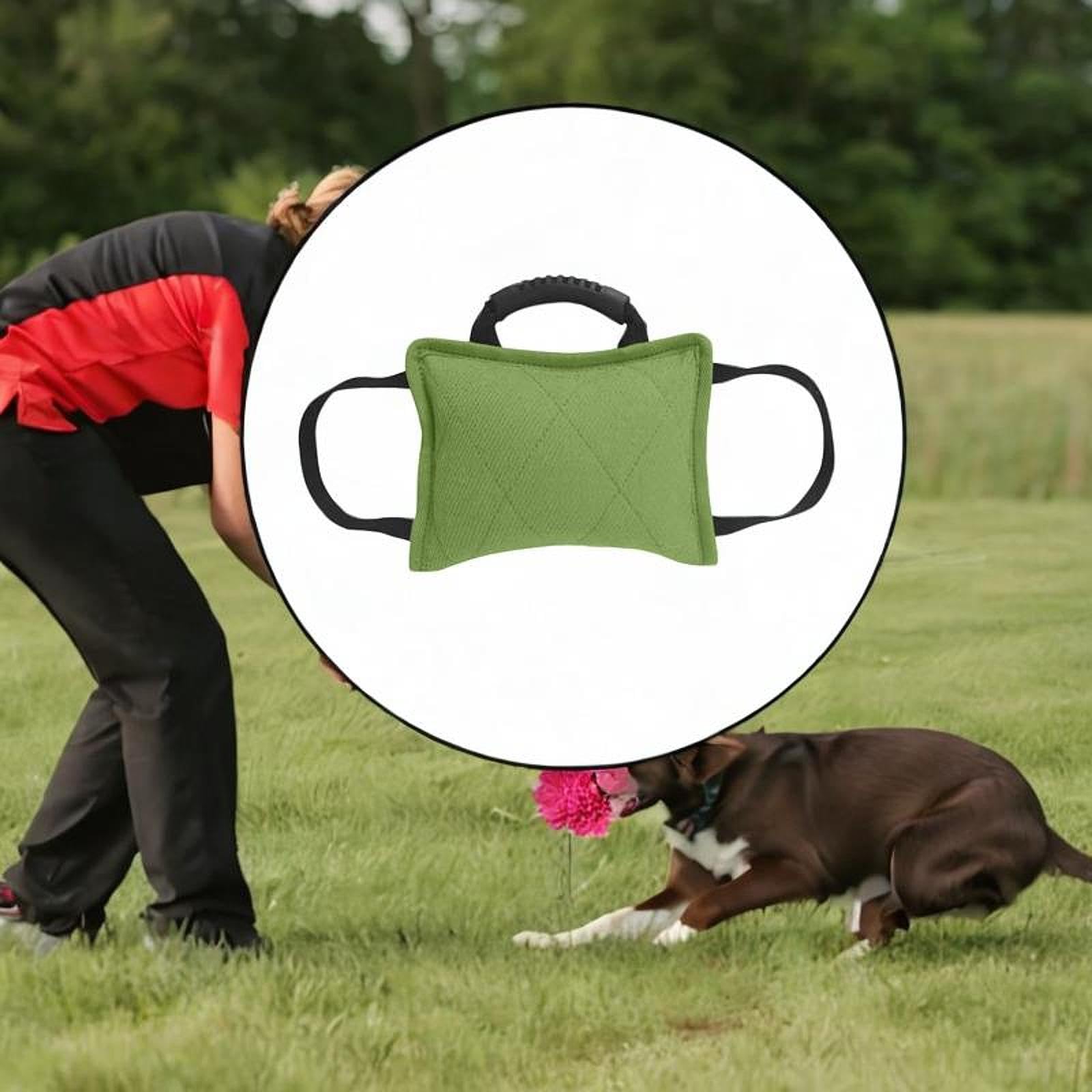 Hunde Zerrspielzeug, Hundetraining, Bisskissen mit Starkem Griff, Trainingsgeräte, Spielzeug, GrÜn