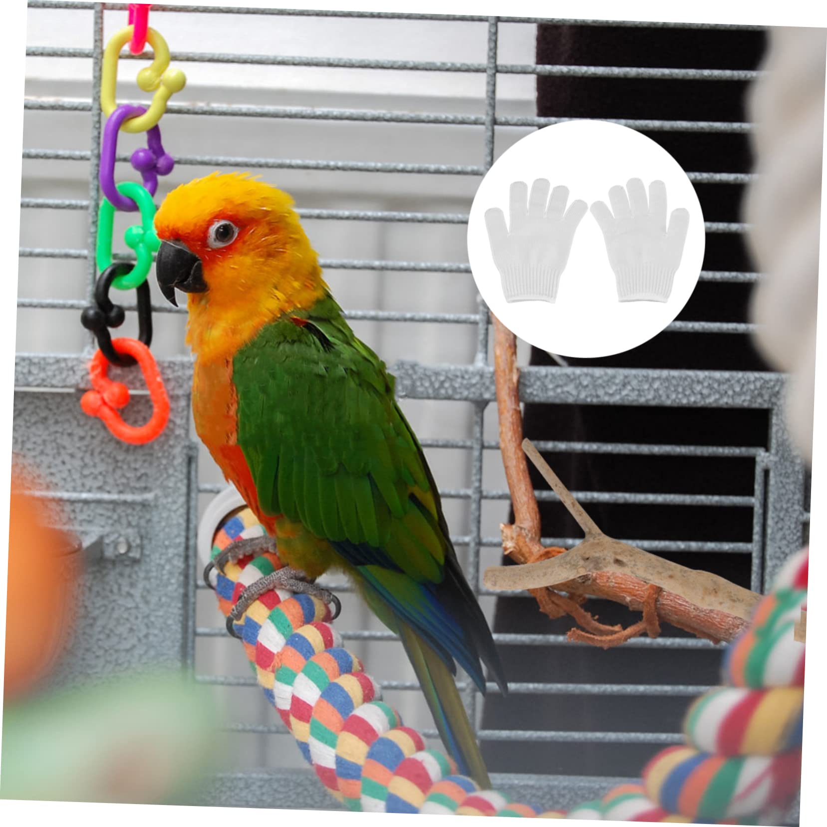 Guanti Protettivi Per Animali POPETPOP - Anti-Graffio E Anti-Morso, Per Cani, Gatti E Uccelli - Foto 12