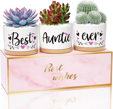MAYICIVO Mothers Day Aunt Gifts from Niece Nephew, Best Gifts for Aunts Auntie, Unique Aunts Birthday Gift Auntie, Best Auntie Ever Succulent Pots for Plants Indoor Ceramic Planter