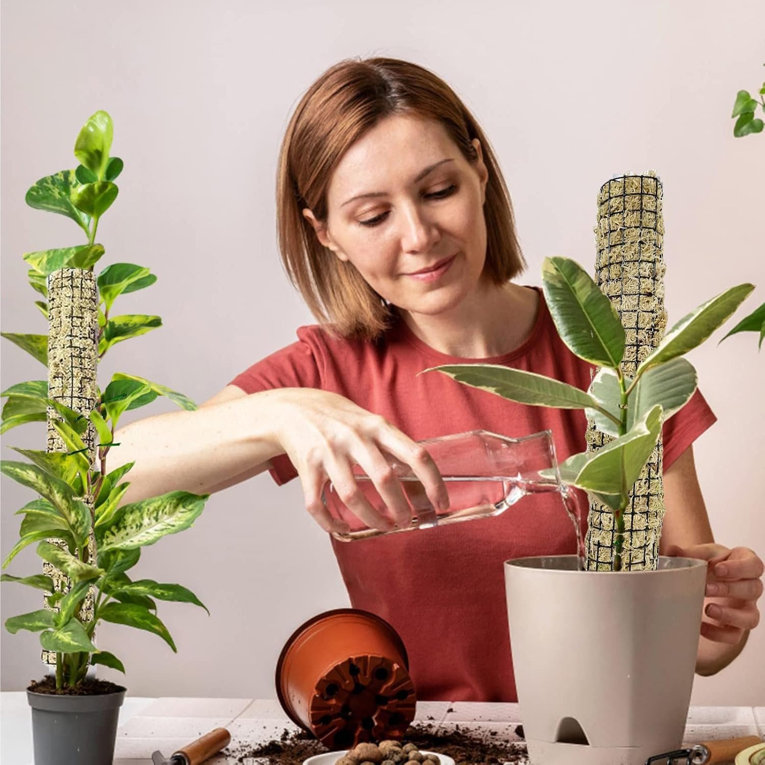 国内発送 植物支柱 園芸支柱 観葉植物モンステラ 支柱 つる性植物 観葉植物 ココスティック支柱 植物サポートフラワースタンド ココナッツ支柱 花支え ガーデニング支柱 農業用 園芸用 モンステラ植物屋内および屋外植物用植物スティック Ninjacrazy Com 国内発送 植物支柱 園芸支柱 観葉植物モンステラ 支柱 つる性植物 観葉植物 ココスティック支柱 植物サポートフラワースタンド ココナッツ支柱 花支え ガーデニング支柱 農業用 園芸用 モンステラ植物屋内および屋外植物用植物スティック Ninjacrazy Com