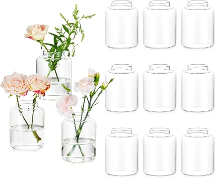 Glasseam Bud vases Set of 12 Glass Vases for Centerpieces Modern Small Vases for Home Table Shelf Wedding Party Decoration - Clear Vase for Flowers Stem Roses Tuilps Cuttings
