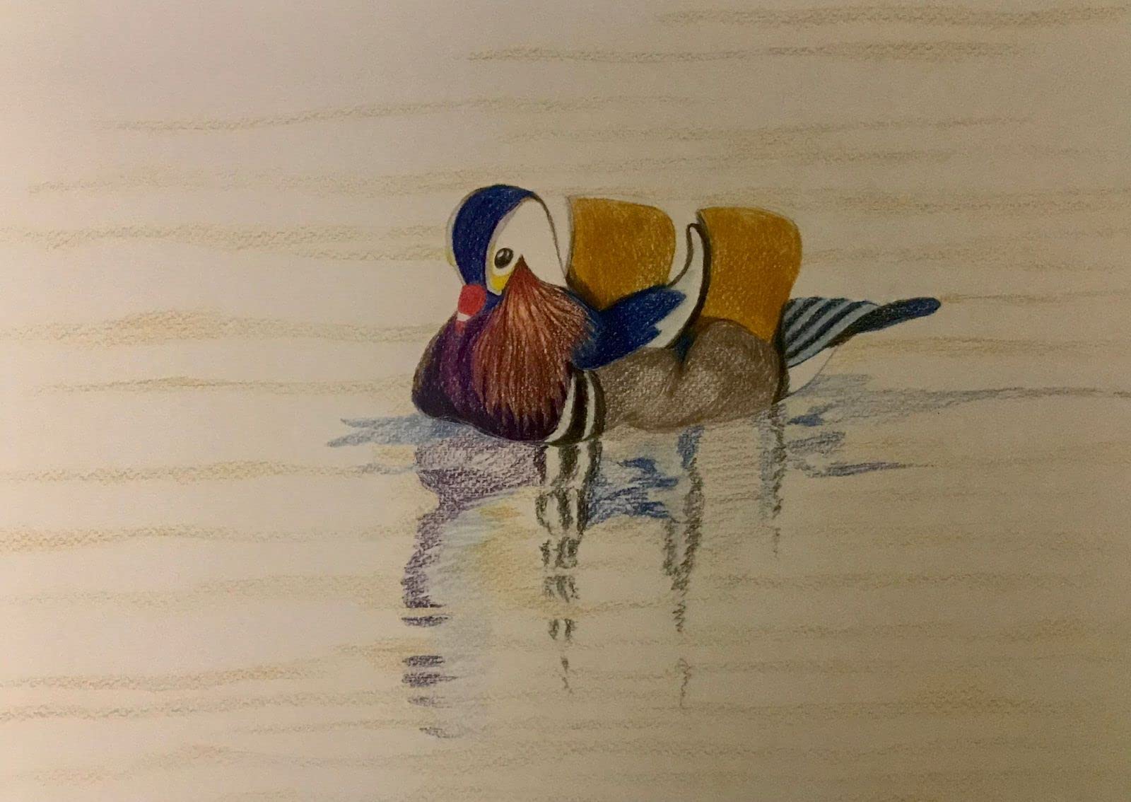 Mandarin Duck - Unframed Art Print by Namrata (The Art of Namrata). Size: 9 * 12in