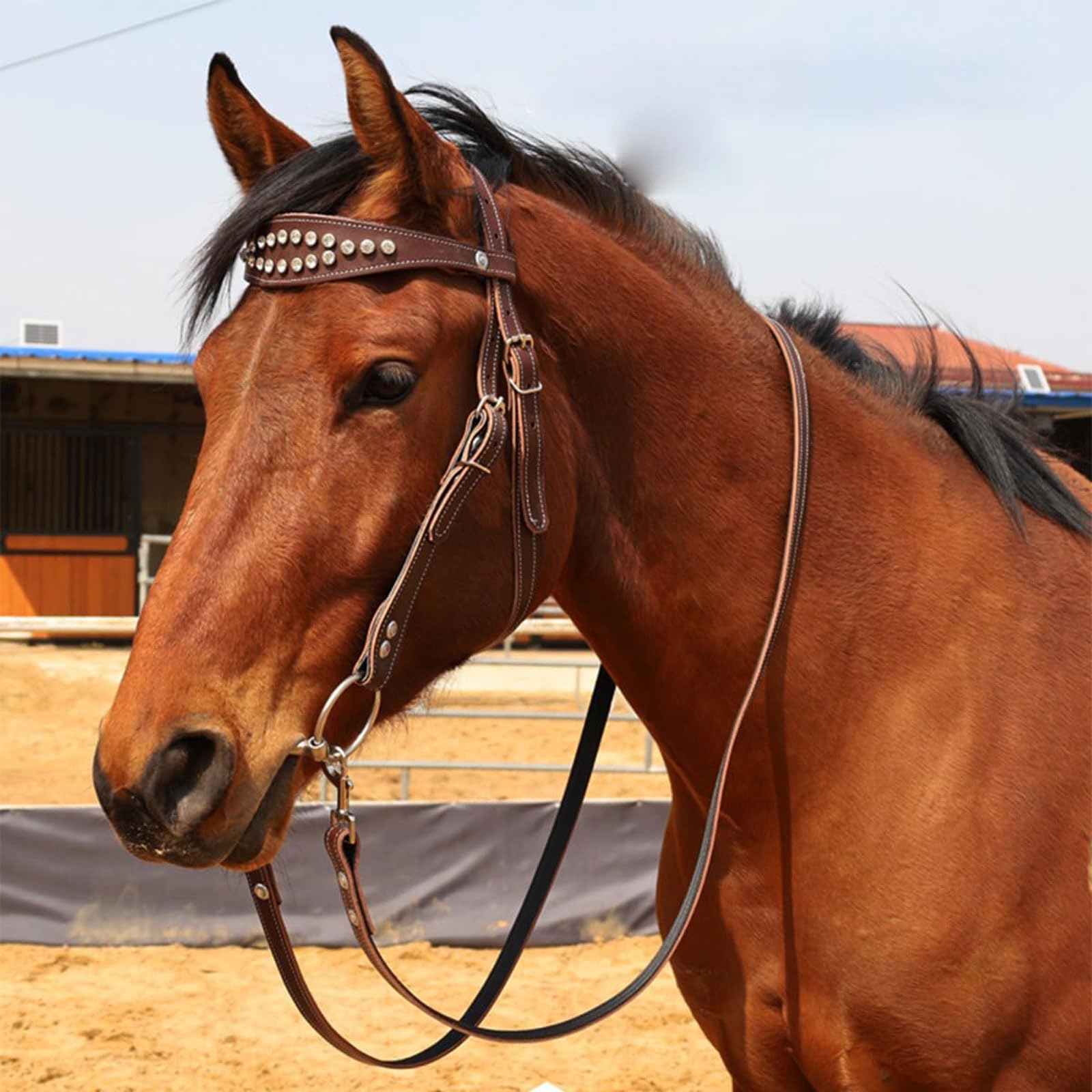 Cavezza Cavallo,Cavezza Regolabile,Briglia Cavallo,Capezze libere ergonomiche e comode,Attrezzatura equestre,per Scuderia,Gara,Allenamento,Corsa Quotidiana