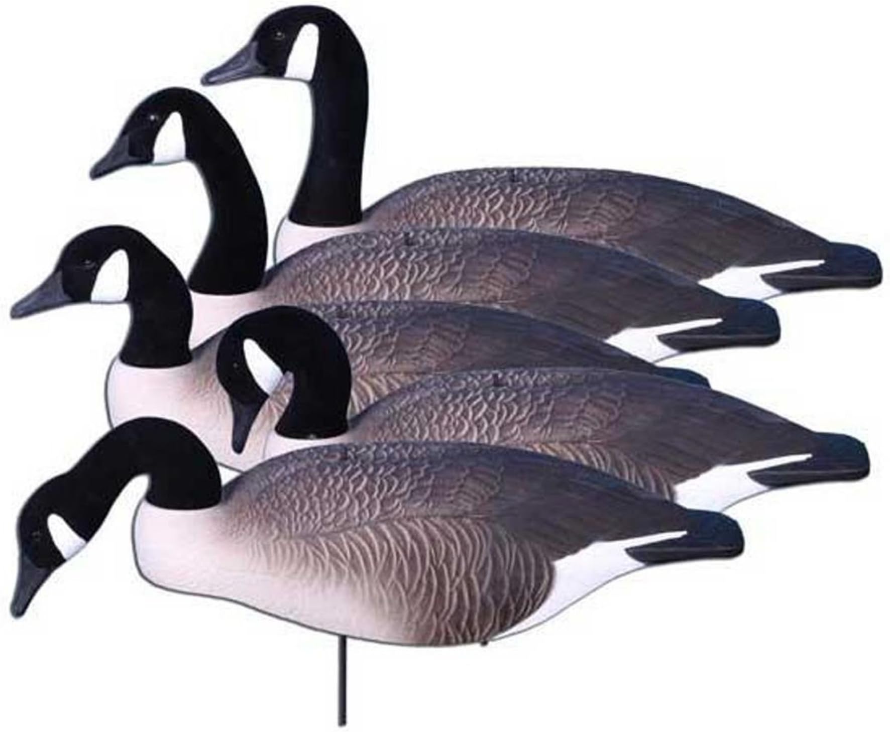6 - Pk. Higdon Super Magnum Full - Form Shell Active Canada Goose Decoys