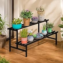 2-Tier Metal Plant Stand Stylish & Sturdy Iron Rack for Home, Balcony & Garden | Space-Saving, Durable & Ideal for Indoor & Outdoor Decor (Black, Single pack)