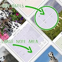 Vista 764 de Razas de Perros 2017