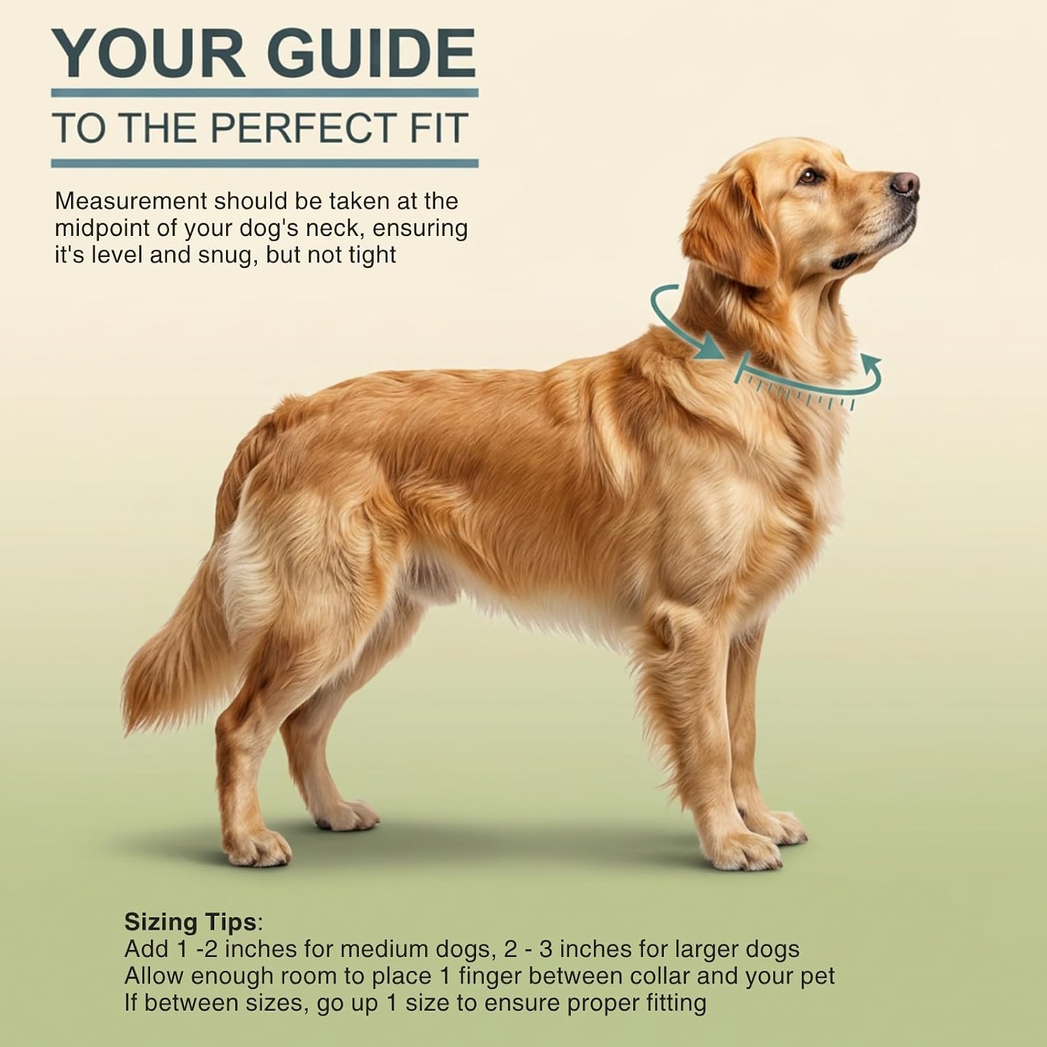 DogTraxs Light Duty Biothane Studded Dog Collar, Teal, 3/4" x 14-17" image 4