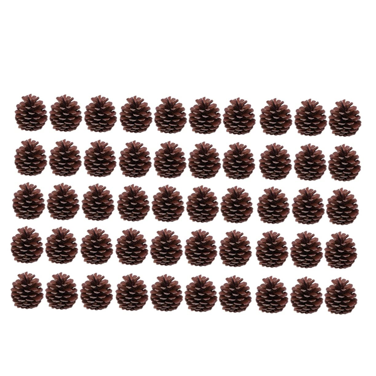 PartyKindom 50 Pezzi Confezione Da Pigne Naturali Per Decorazioni Natalizie Per Albero Di Natale Decorazioni Artigianali Casa Cucina Tavolo Vetrina Ornamenti
