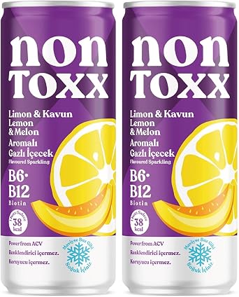 Fersan Nontoxx Lemon Melon Vinegar Carbonated Drink 250 ml 2 pack