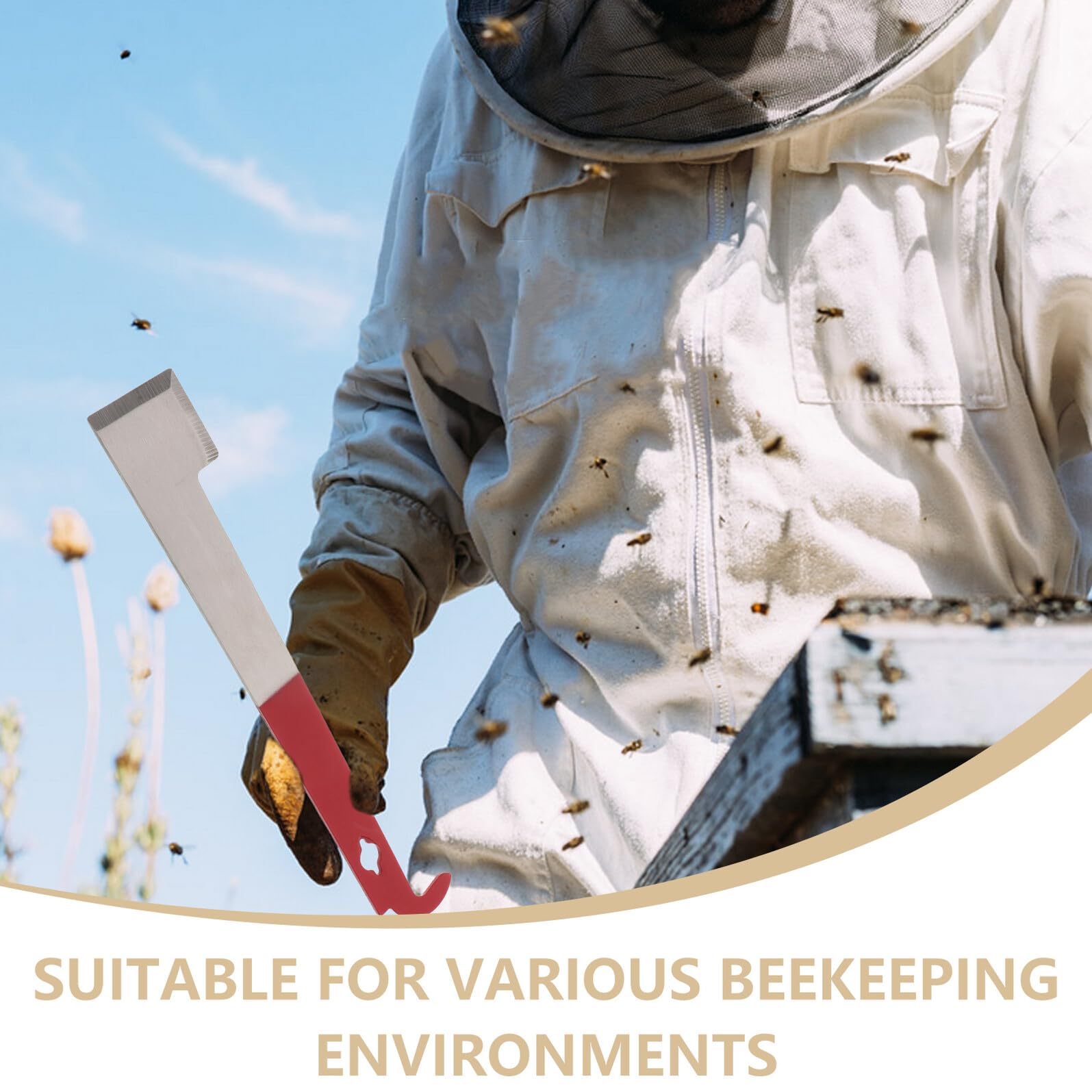 ARTIBETTER 5 Pièces Outil d'apiculture cadre Kit d'apiculture