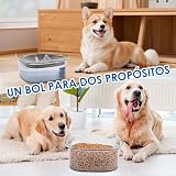 Ver la foto 7