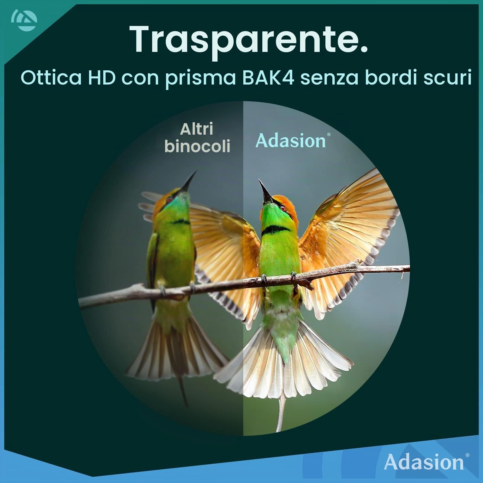 12 x 42 Binocolo Professionale Potente- Prismi BaK4 e Lente FMC, Potente Binocolo per Birdwatching, Caccia, Escursionismo con Adattatore per Cellulare e Treppiede