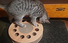 Review Image by ErinKuss ErinKuss