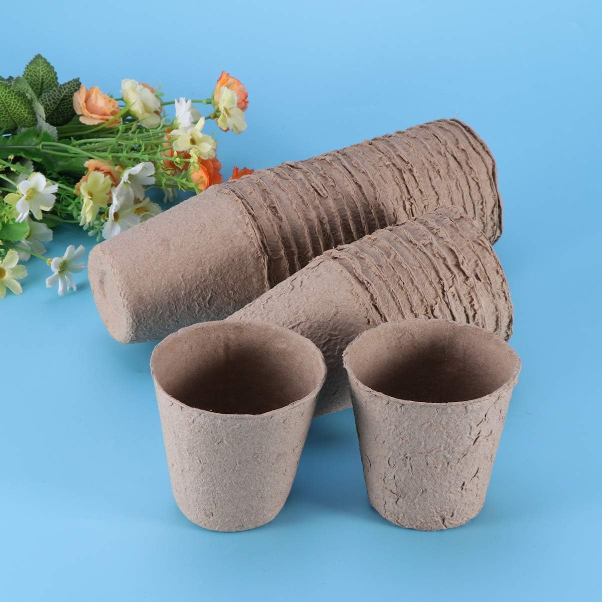 Hemoton 100 Pcs Biodegradable Peat Pots for Seedlings Plant Starter Pots Kit Succulent Planters Nursery Pots (8 x8 cm) : Patio, Lawn & Garden