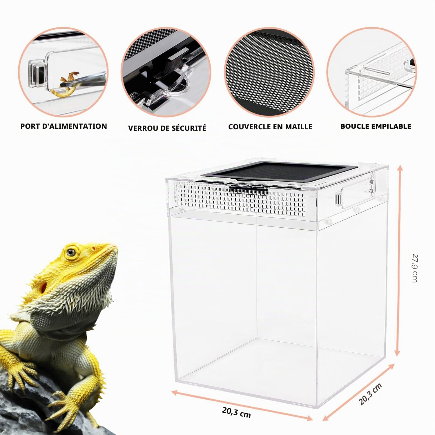 Reptile Growth Kit Terrarium Haut 20 x 20 x 28 cm Bac à Reptiles Grille Supérieure Coulissante Aération