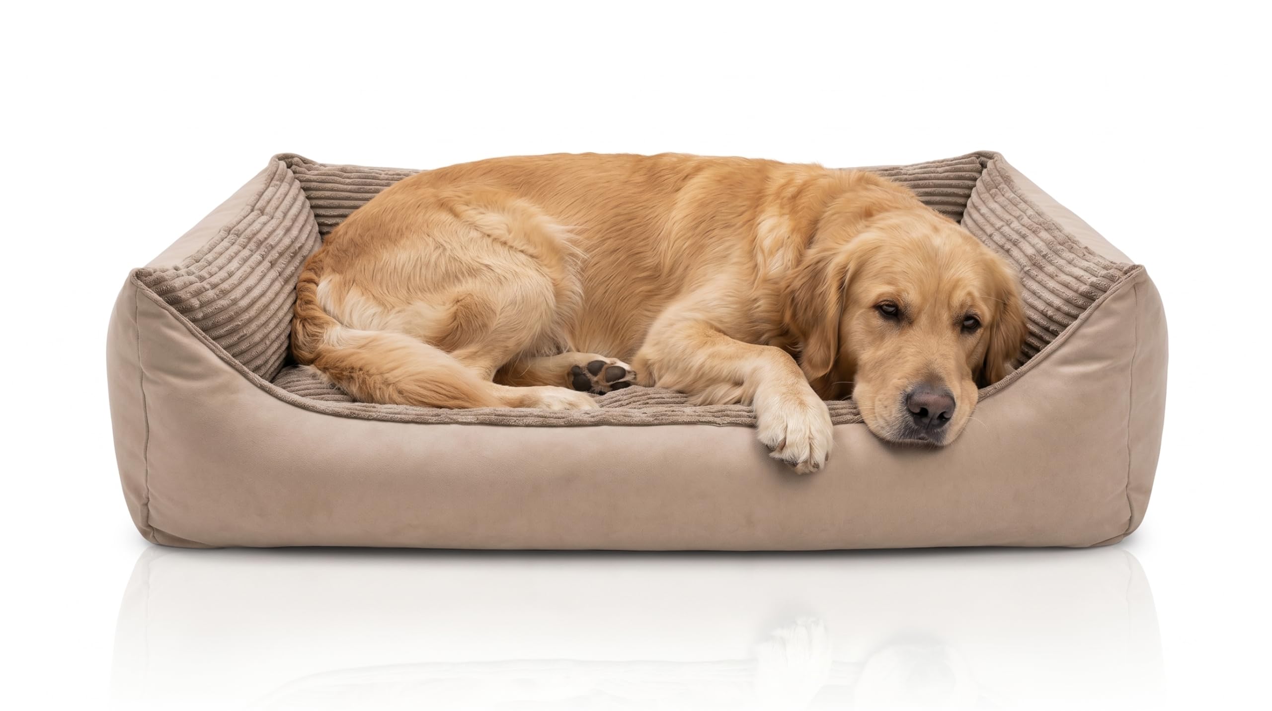Odolplusz Lit pour chien XXL 100 x 70 cm - Housse amovible et imperméable - Panier confortable pour chiens de grande et moyenne taille - Lavable et robuste