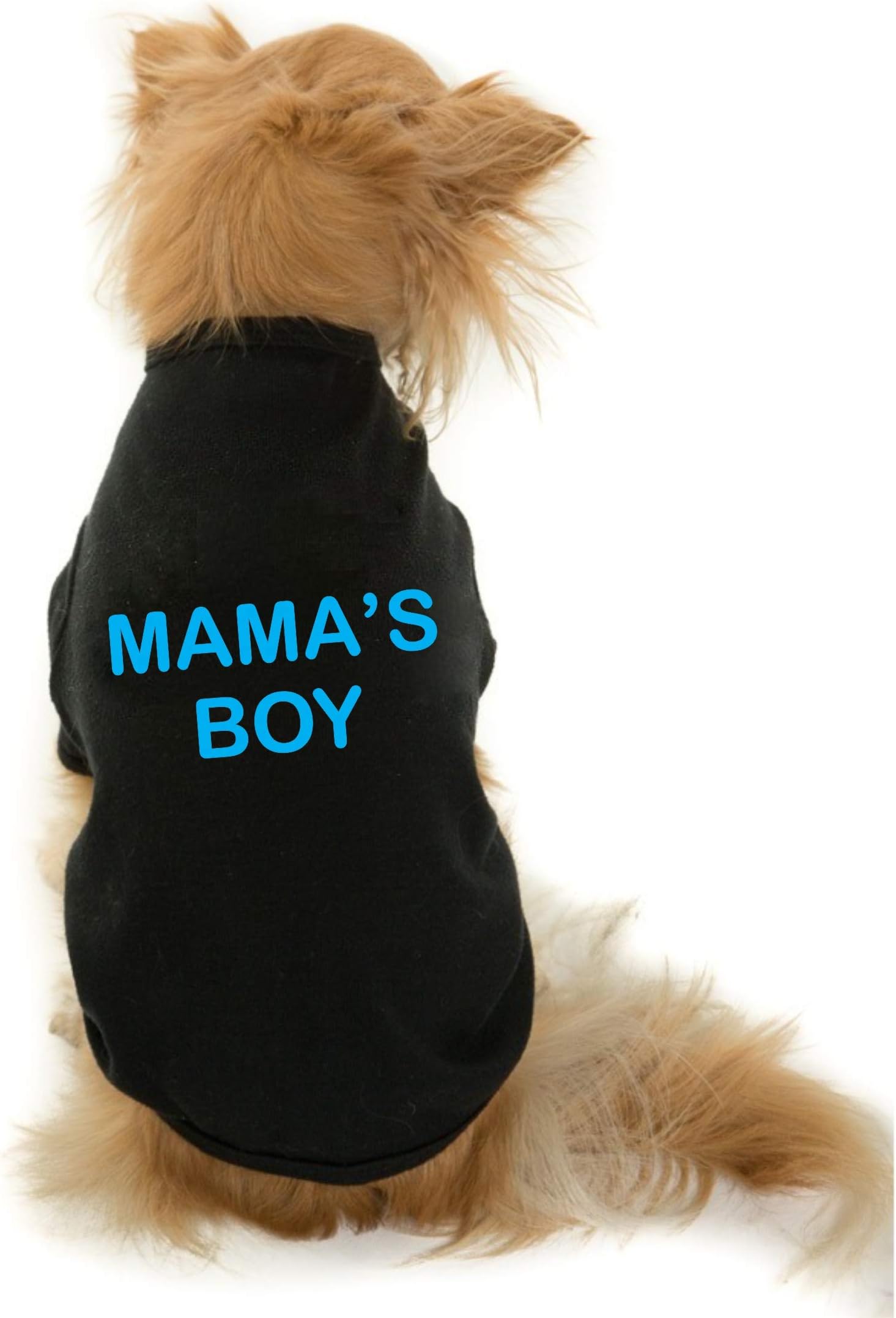 The Tee ShopThe Tee Shop Pet Clothing Collection Cool Funny Quote Printed Mama's boy on Pet Dog Cat Comfortable T-Shirt (XXL, Black)