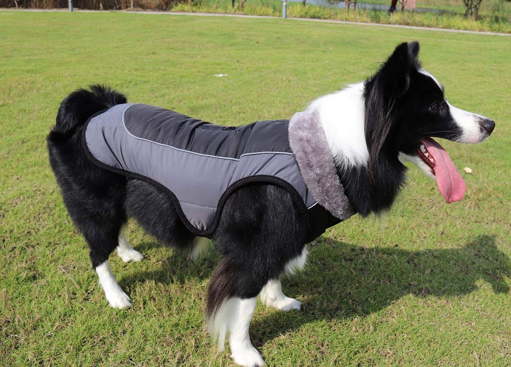DAIHAN Mascota Perro Otoño Invierno Ropa De Abrigo Chaleco