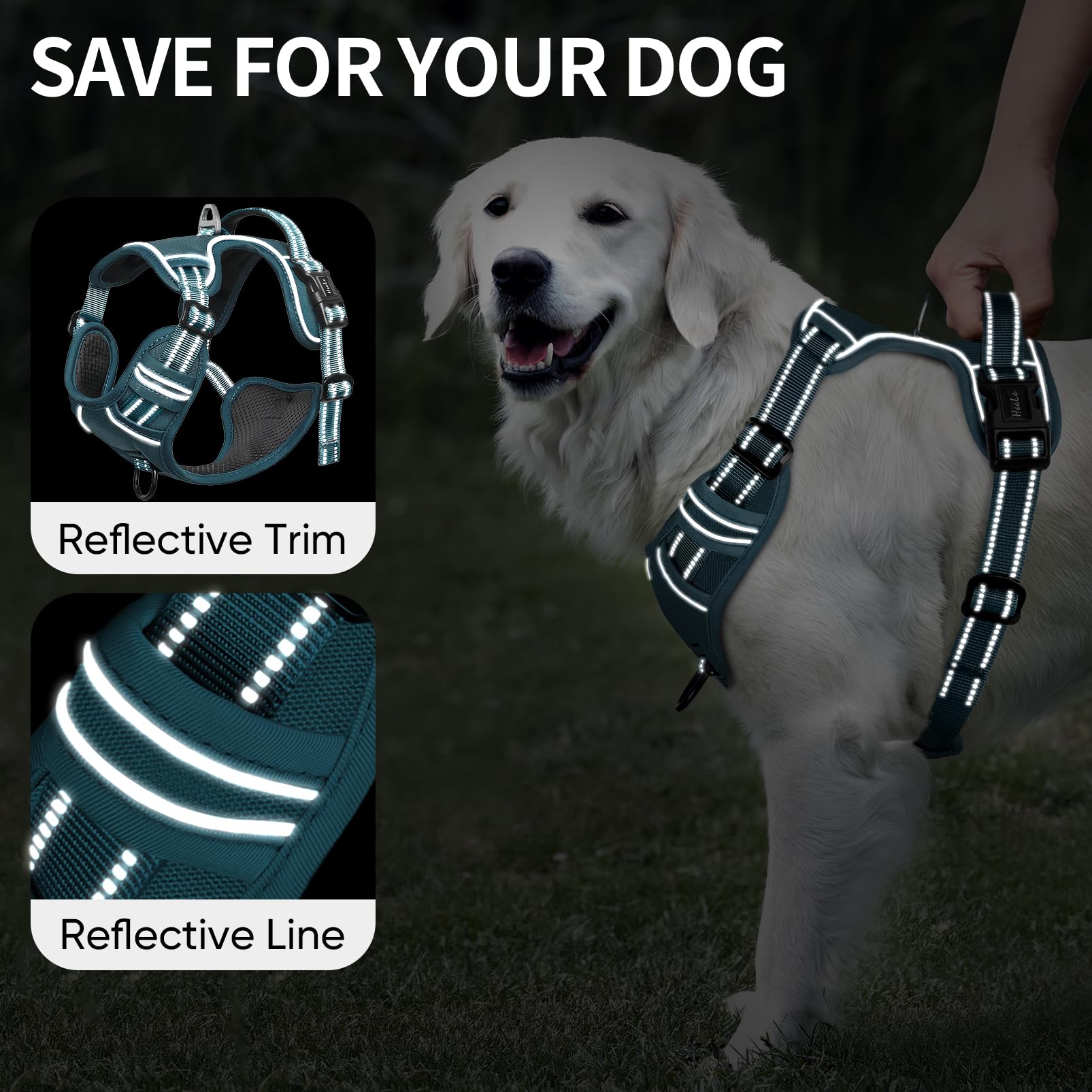 View 3