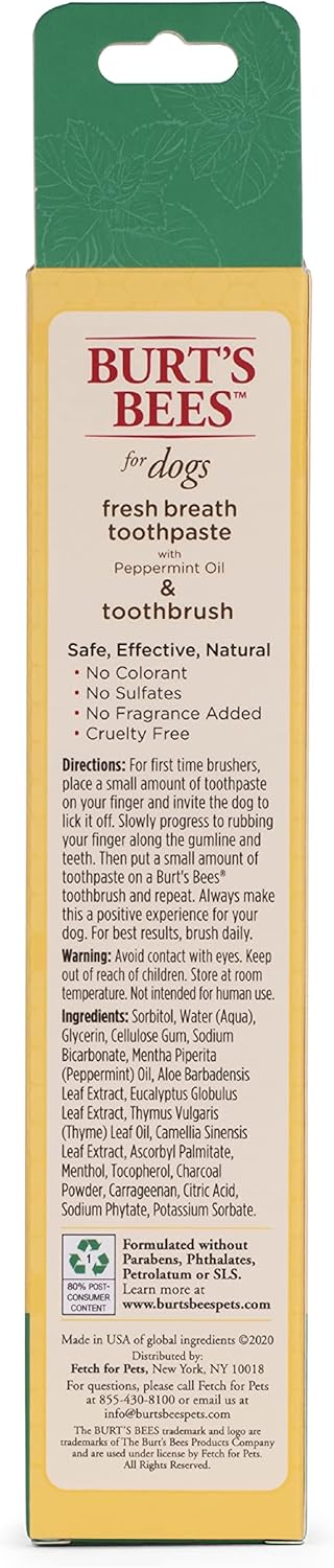 Burt's Bees for Dogs Fresh Breath Toothpaste for Dogs with Peppermint Oil & Dog Toothbrush | 99.5% Natural Dog Toothpaste in Fresh Mint Flavor & BPA Free Bamboo Dog Toothbrush | 2.5 Oz : Everything Else