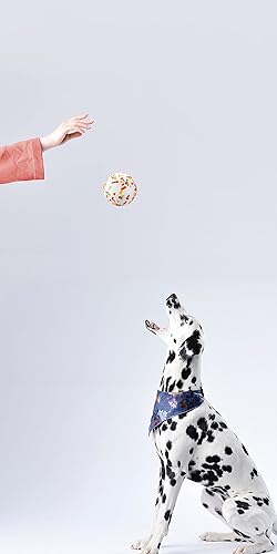 Miniatura 8 de JEROCK Pelotas para perros, pelota de juguete indestructible para masticadores agresivos, bola interactiva duradera de alta elasticidad para