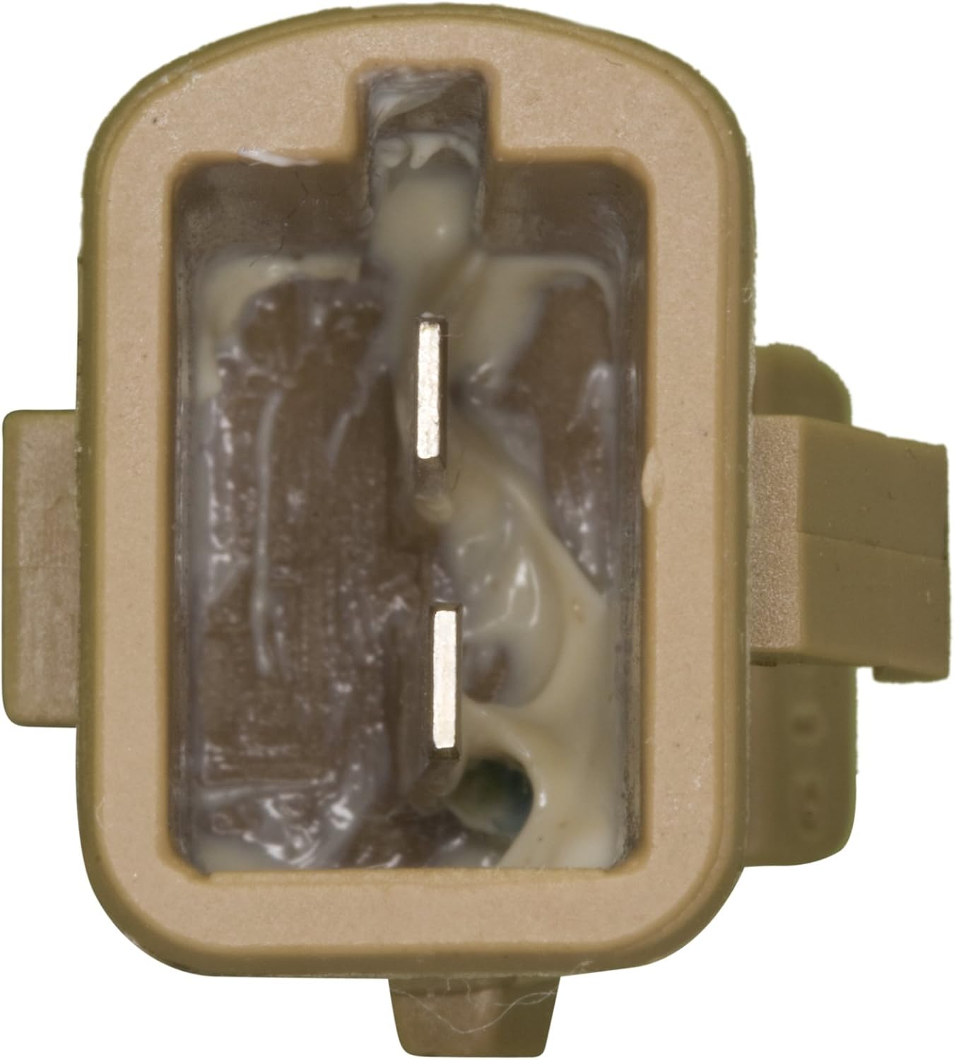 Door Jamb Switch WVE 1S1852