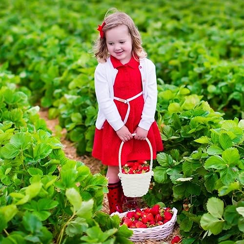 Miniatura 5 de HEMOTON 6 mini cestas tejidas de Pascua con asas, cestas de flores de ratán para niñas, mini cestas de picnic para pequeños recuerdos, artes y