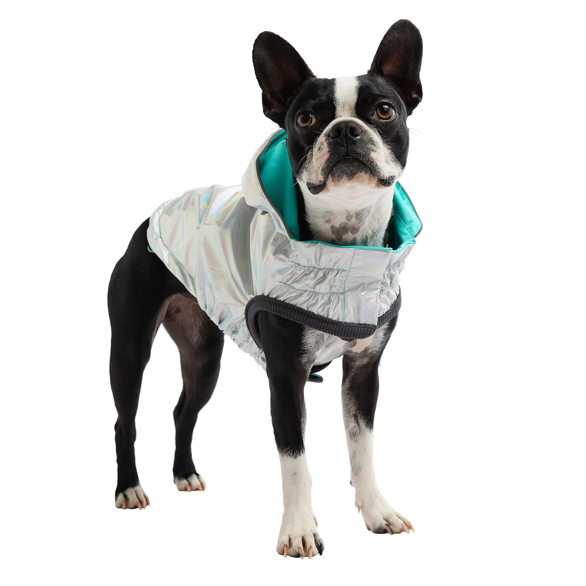 GF Pet Reversible Raincoat - Regenjacke- wasserdichte Hundebekleidung- Größe M Hundemantel Rückenlänge 38cm- Neongelb mit Krawattenfärbung
