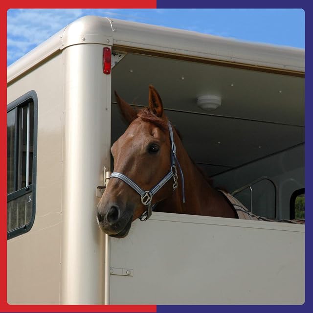 Foto 5 de 7 de Equine America Suplemento alimenticio para Caballos Pro gut Balancer 900 g