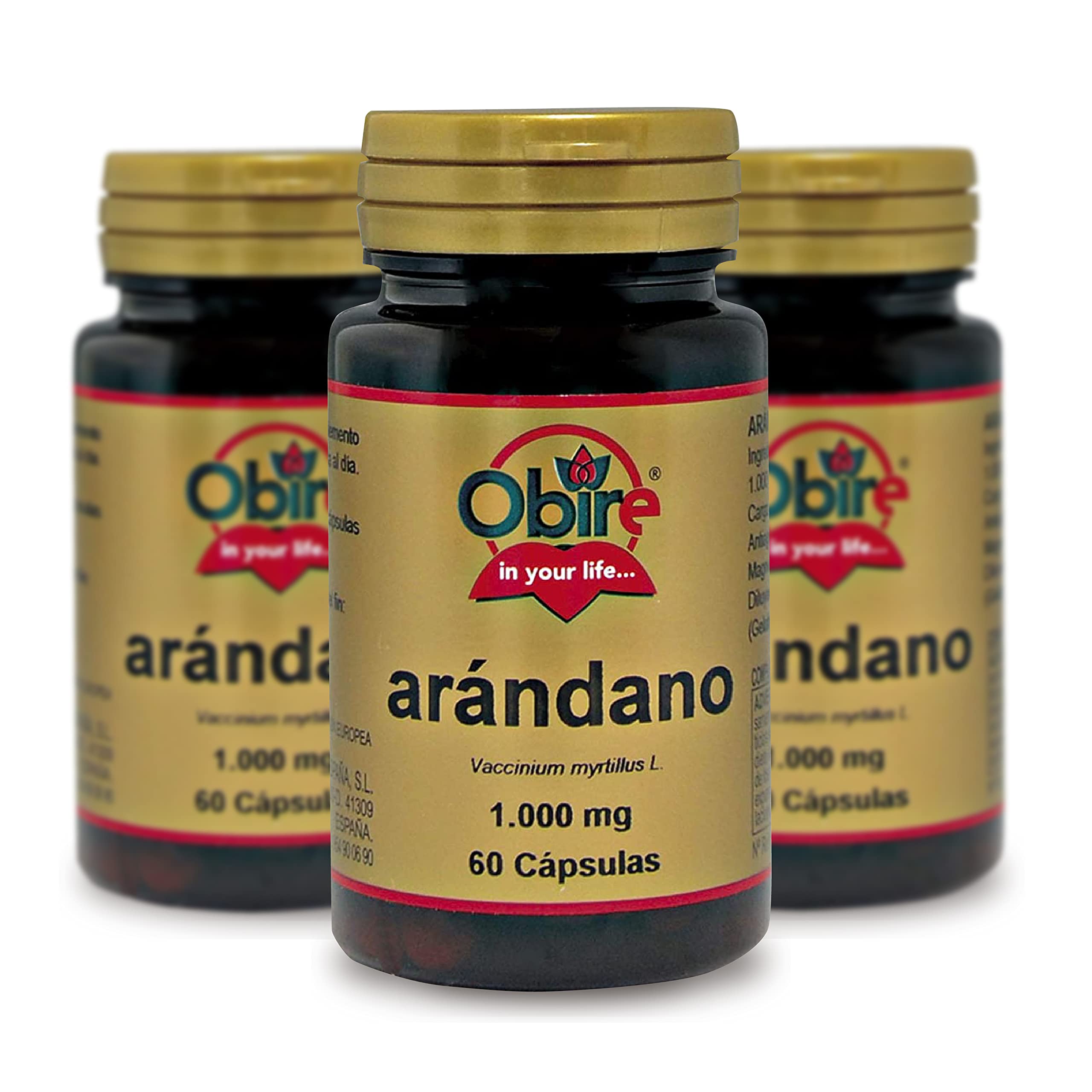 Obire | Arándano 1000 mg | 60 Cápsulas | Pack de 3 Unidades | Extracto Seco Rico en Vitamina C | Bienestar General