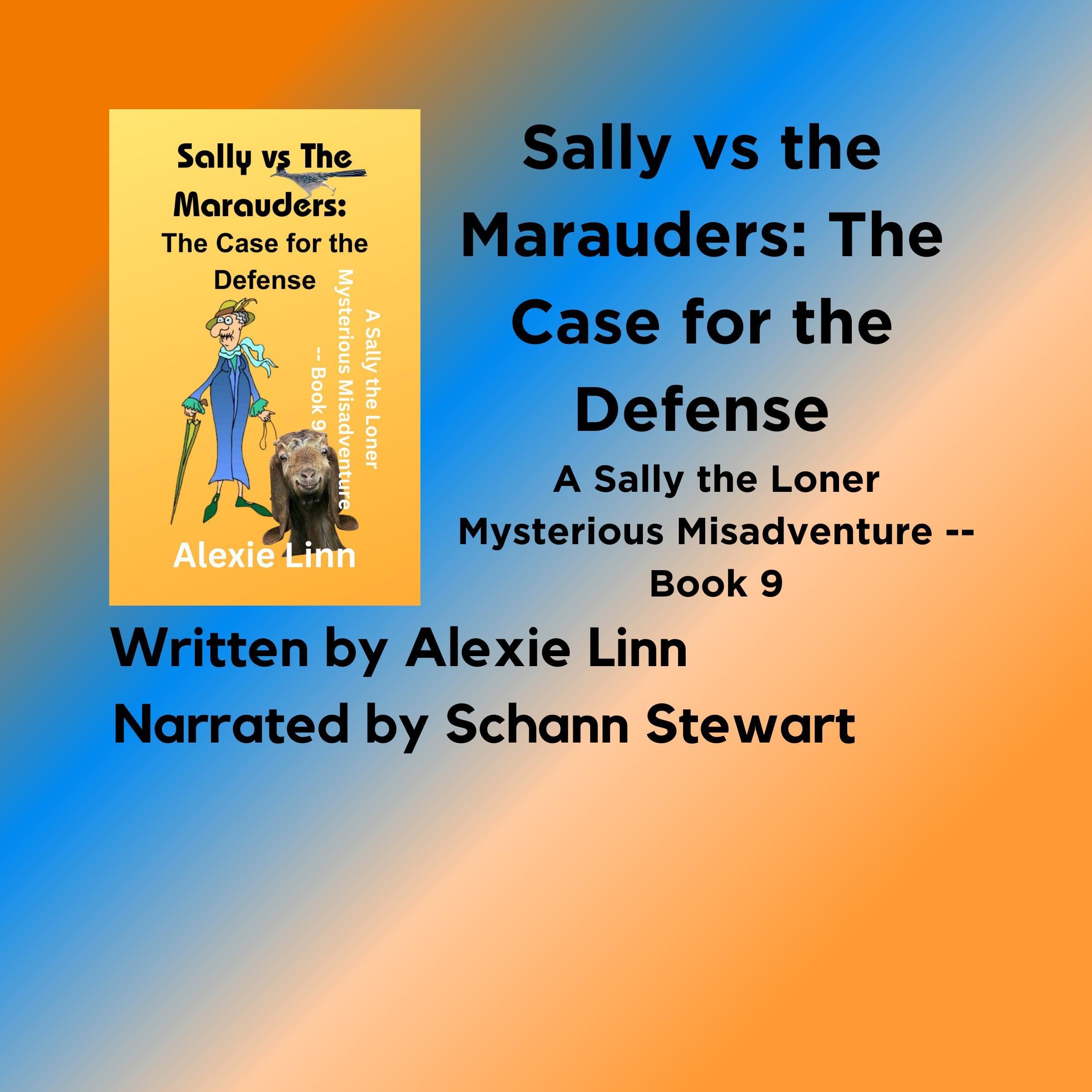 Cover art for Sally vs the Marauders