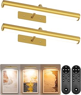 EZVALO 16‘’ Picture Lights for Wall, 6000mAh Rechargeable Art Lights