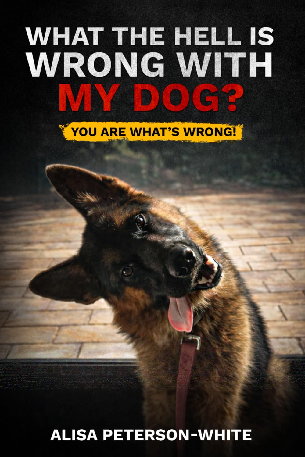 WHAT THE HELL IS WRONG WITH MY DOG?: YOU ARE WHAT'S WRONG!