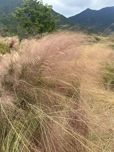 Bimkole 5D Diamond Painting Kits Running Car, Full Drill Dark Clouds DIY Rhinestone Embroidery Set Paint with Diamonds Art by Number Kits Cross Stitch Home Wall Craft Decoration 12x16inch