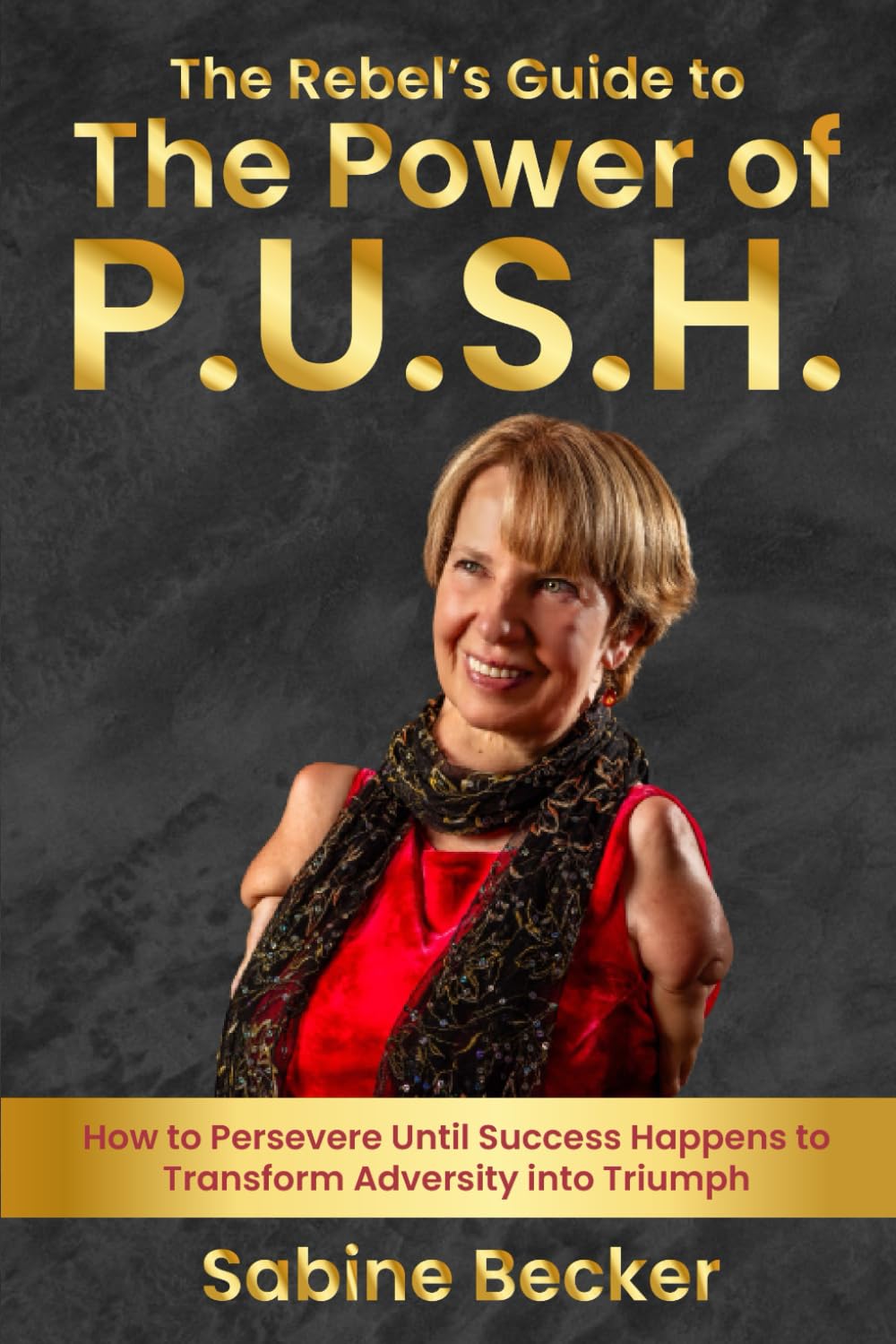 The Rebel's Guide to The Power of P.U.S.H.: How to Persevere Until Success Happens to Transform Adversity Into Triumph