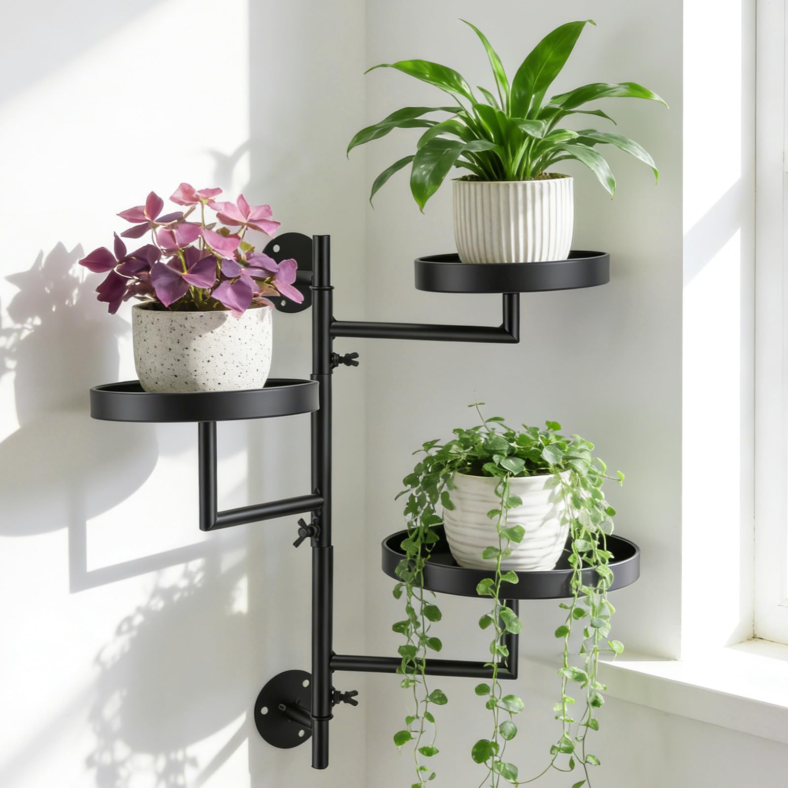 Support pour plantes d'intérieur mural noir pour fleurir votre salon ou balcon