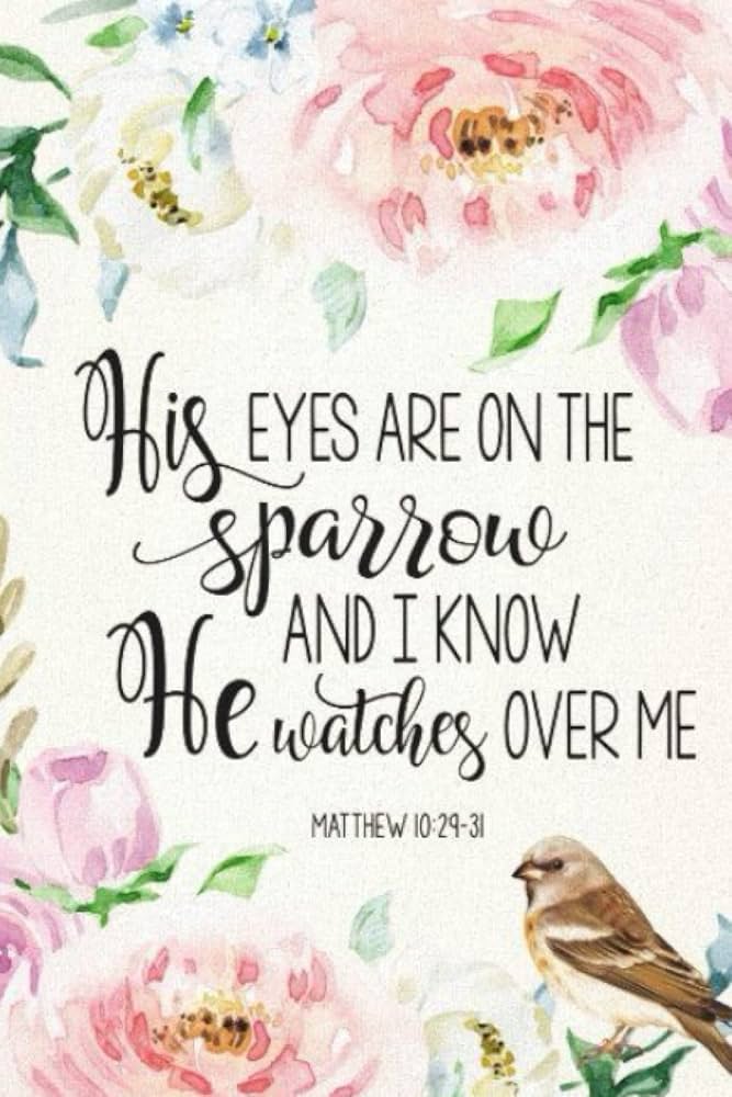 Amazon.com: His eyes are on the sparrow: Matthew 10:29-31