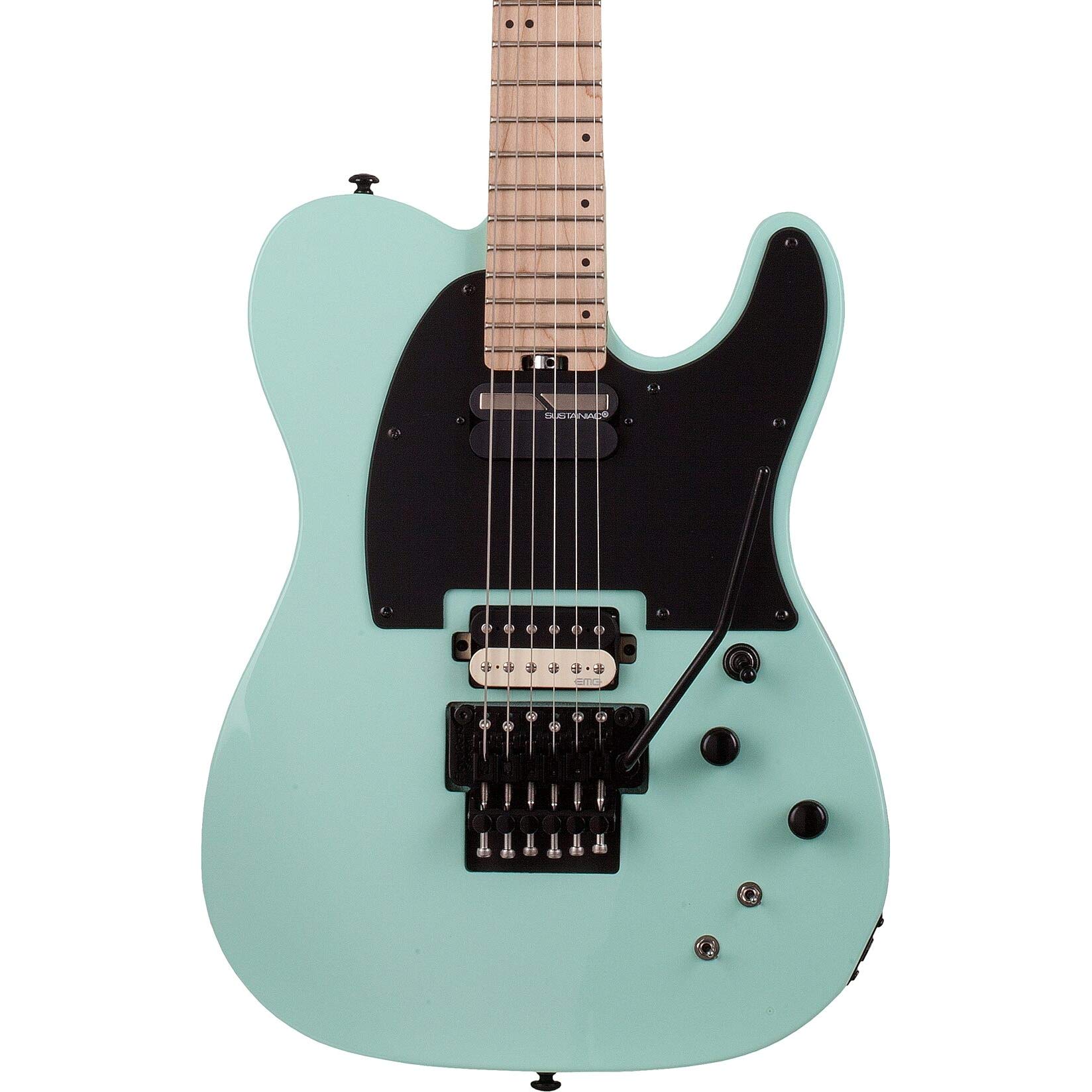 Amazon.com: Schecter Sun Valley Super Shredder PT FR with