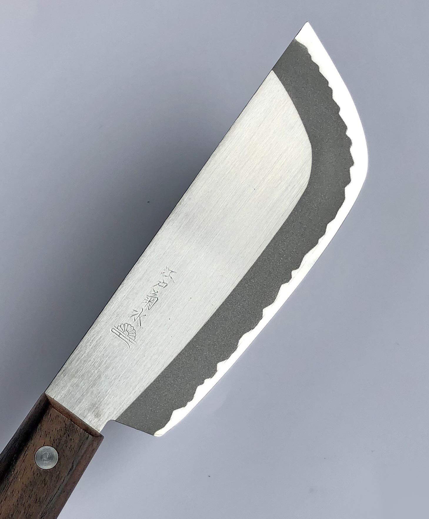 Amazon｜江戸菊水 楽々カボチャ切庖丁 150mm ｽﾃﾝ特殊鋼割込 ローズ柄付