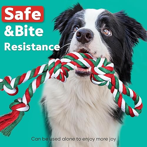 Miniatura 9 de Petbobi Juguete elástico para perro, juguete de remolcador de árbol para Pitbull interactivo y ejercicio, juguete de tira y afloja con cuerda