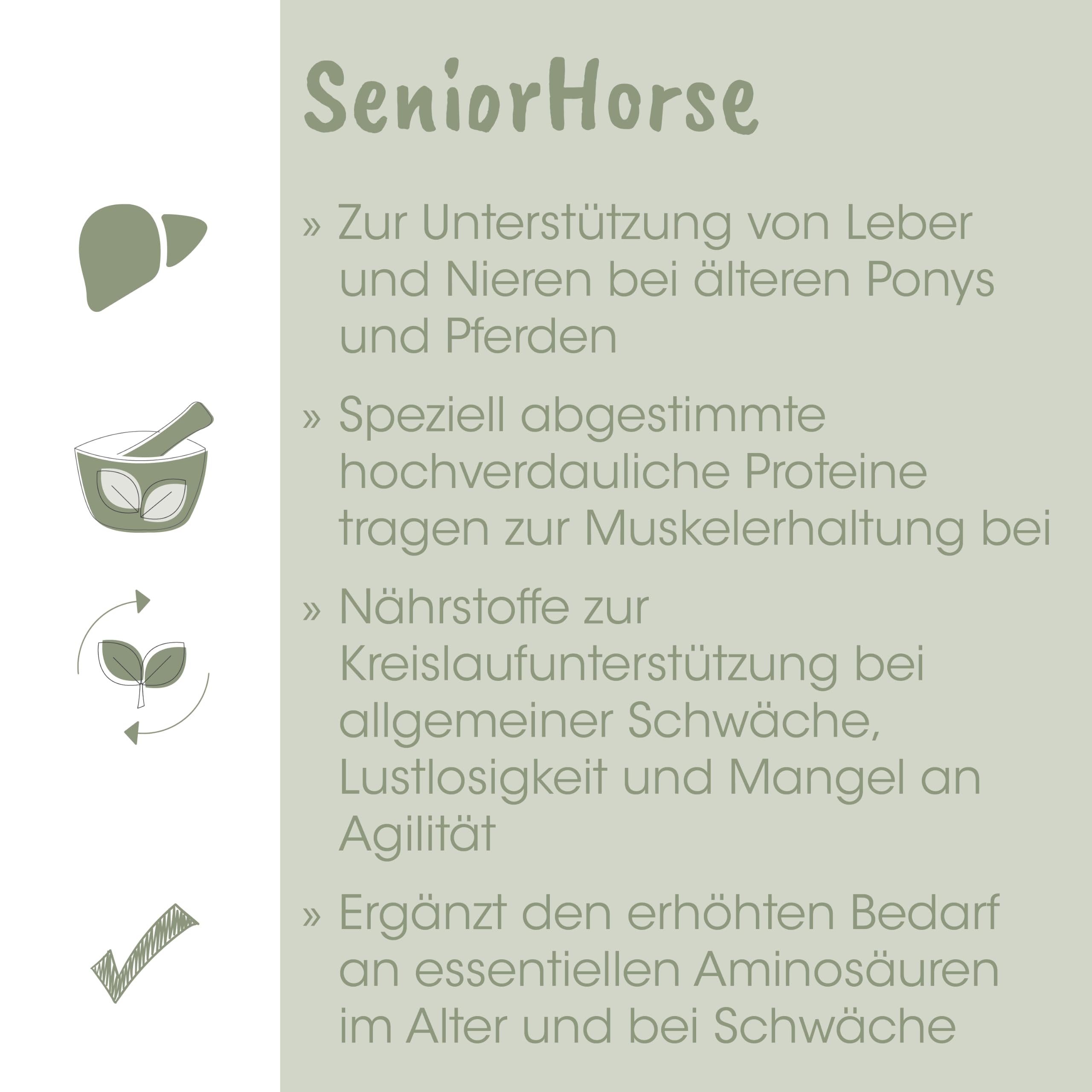 EquiGreen SeniorHorse 20kg - Nutritional Supplement for Senior Horses with Vital Vitamins and Herbal Support