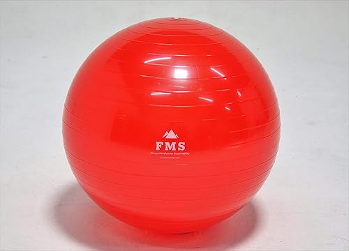 Miniatura 4 de ISU 25.6 in Fitness Stability Ball  Yoga Balance Ball  Ejercicio Entrenamiento Bola INCLUYE Bomba de Pie